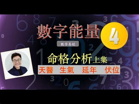 生氣天醫延年|【天醫 延年 生氣】解鎖你的數字運勢：天醫、延年、生氣號碼全。